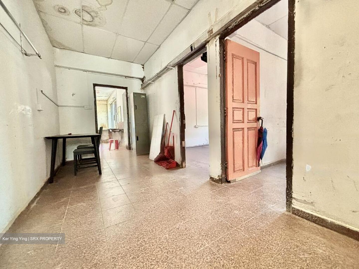 Serangoon Road (D8), Apartment #500629241